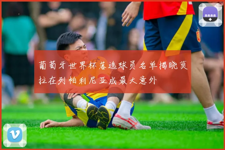 葡萄牙世界杯落选球员名单揭晓莫拉在列帕利尼亚成最大意外