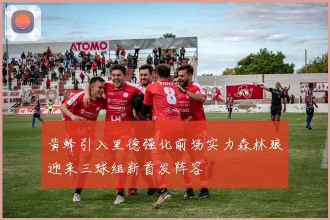 黄蜂引入里德强化前场实力森林狼迎来三球组新首发阵容
