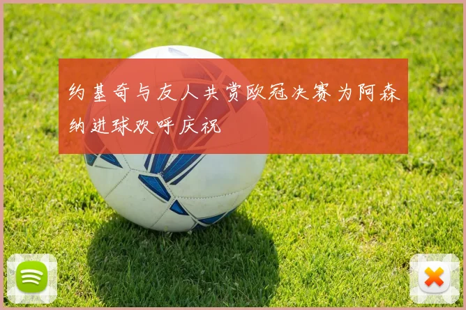 约基奇与友人共赏欧冠决赛为阿森纳进球欢呼庆祝